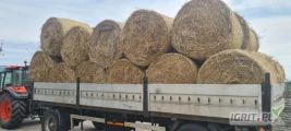 Witam posiadam do sprzedaży słomę żytnią, pszenną i owsianke około 200 balotow 120 na 120 czysta bez jakich kolwiek zanieczyszczeń i...