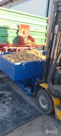 Sprzedam około 50 ton ziemniaka Ignacy przed wydaniem towaru, przepuszczony przez stół przebierczy bez zgniłków kamieni jasny...