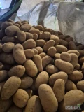 Sprzedam ziemniaki odmiany Queen Anne kaliber 40+, 50+ big bag luz 