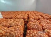 Kupię cebulę żółtą różny kaliber pakowaną w worki 1,40zł/kg. Minimum 5 ton. płatność gotówką przy załadunku. Export towaru...