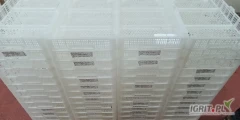 Sprzedam 3000 szt. skrzyneczek plastikowych białych o pojemoności 3-4kg np na świeże owoce, ważywa. Wym. 40x30x7cm