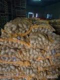 Sprzedam ziemniaka Queen Annę ładne zdrowe +45 pakowane w szyty worek 15kg .gotowe 24t. Gdańsk
