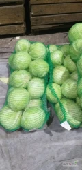 Sprzedam kapuśte na paletach. waga 1-4 kg.bez chorób. od 21 ton
