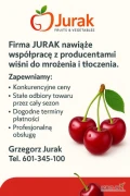 Firma JURAK nawiąże współpracę z większymi producentami wiśni do mrożenia I tłoczenia.