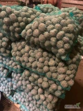 Sprzedam ziemniaki sadzeniaki odmiana Rudolph białe w środku nadmiar około 2 ton 