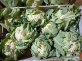 Sprzedam kalafior 8 w skrzynce na gotowo.
