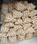 Sprzedam ziemniaki jadalne odmiana Melody. Kaliber od +45 . Cena 6 zł za 15 kg. Możliwość również na luz. Więcej informacji udzielam...