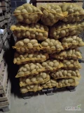 Sprzedam  ziemniaki jadalne żółte,  wielkość 4,5 +. Ziemniak z jasnej ziemi. 300 workow. 