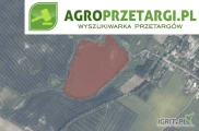 Przetarg na dzierżawę 9,08 ha stawu na 3 lata – WsV