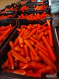 Witam sprzedam marchew towar bardzo ładny kaliber 2-4 po szczotkarce ilości paletowe cena 1 zł kg 
