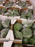 Do sprzedania ilości hurtowe brokuła włoskiego 10x500g.Oferta ograniczona czasowo. Towar dostępny na giełdzie owocowo - warzywnej w...