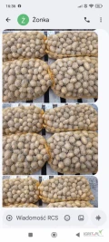 Sprzedam ziemniaki Soraya wielkość sadzeniaki wysadzane z kwalifikatu w zeszłym roku ilość około dwieście woreczków cena osiem zł...