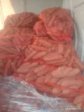 Sprzedam marchew odpadowa pakowana worki 10 i 15kg cena 0,70gr kg