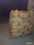 Sprzedam 200 worków ziemniaków jadalnych odmiany Ignacy, kaliber 55+ , żółte, smaczne 