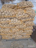 Ziemniaki odmiany Queen Anne i Vineta kalibraż 45+. Pakowane w worek lub big-bag. 