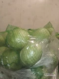 Sprzedam ilości tirowe Kapusty Białej. Kaliber od 1 kg do 3,5 kg. Na export - Badania Fitosanitarne + pełna odprawa celna. Cena,sposób...