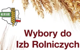 Niska frekwencja w wyborach do Izb Rolniczych