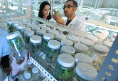 Pozostałości pestycydów w żywności - Polska na trzecim miejscu