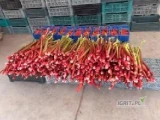 Sprzedam rabarbar czerwony z in vitro w sezonie 2026 w ilości 30 ton. Osoby zainteresowane proszę o kontakt telefoniczny. 