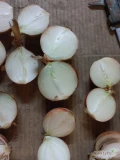 Sprzedam ilości tirowe cebuli żółtej w workach raszlowych 5,10,16 kg cebula w jakości handlowej zapraszam