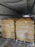 Sprzedam ziemniaki 600t.  Продаю 600 тонн картоплі. For sale 600 tons of potatoes