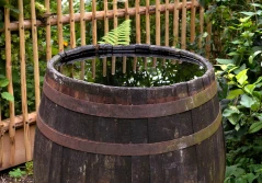 Rolnicy nie dostaną dopłat na łapanie deszczówki?