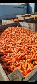 Sprzedam 22 Tony Marchwi odpadowej np dla zwierząt.