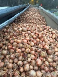 Cebula ŻÓŁTA 80%6+na pakowanie i obieranie ,import ,dostawa do klienta ,cała Polska ,co tydzień nowe oferty ,dostępne cały rok od 15...