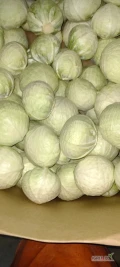 Sprzedam kapustę białą kal 1-2,5kg oraz 2-5kg.