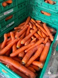 Sprzedam marchew myta z chłodni. kaliber 2-4, 2.5-4 oraz odsort grubej. Pakowana w worki szyte 10kg. Możliwość innej formy...