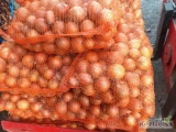 Sprzedam cebule żółta worek 15kg kaliber 5-8 ładna czysta zdrowa i jasna łuska. Ilości busowe lub mniejsze