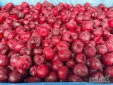 Мы предлагаем замороженную вишню без косточек по запросу.  Подробности по...