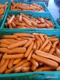 Sprzedam marchew import myta. Jakość premium. Opakowanie według potrzeb klienta 