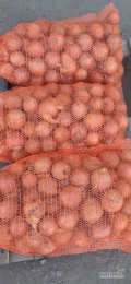 Sprzedam cebule żółtą 5+ worek 15kg lub big bag 