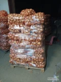 Cebula gruba 8+, jasna, złocista, z połyskiem łuska, nadająca się na worek, możliwość zrobienia w dowolne opakowanie, ok. 20 ton.