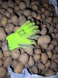 Sprzedam ziemniaki Gala 45+w big bag szczotkowane zdrowe bez obić s i GRABS ilości tirowe 