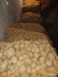 Sprzedam ziemniaki paszowe odmiana gala. Ziemniaki przebierane ręcznie bez kamieni i pacyn. Spakowane w worki po 30 kg. Ziemniaki ładne...