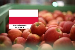 Obowiązek nowego oznaczania owoców i warzyw. Także na targowiskach