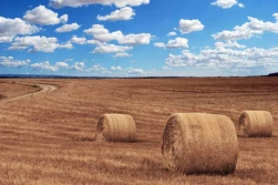 IMGW: lato będzie upalne...