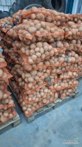Sprzedam ziemniaki jadalne żółte Vineta kaliber 45+ oraz 55+ worki 15 kg lub Big bag cena 10 zł /15 kg 