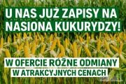 Kukurydza | agroduo.pl