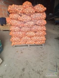 Sprzedam cebulę odmiana ambrador kal 45+ worek 15 kg