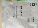 ARCTICA F1(j. 100 000n , kal.1.4-1.6 , pak.02/2026) , CORCICA F1(zk. 97%) , ARAT firmy Bejo oferuje GEPWEG dystrybutor nasion. Dostawa...