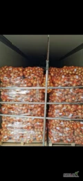 Cebula młoda, bezpośrednio od producenta w Macedonii przy całosamochodowym zamówieniu. Cebula z Macedonii jest niekalibrowana,...