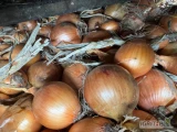 Sprzedam cebulę żółta kaliber 5-7/5-8 worek 10/15kg bigbag luz cebula fazorowana ilości tirowe i paletowe 