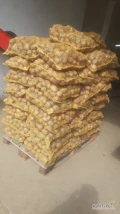 Sprzedam ziemniaki jadalne odmiany Melody, kaliber 45+, opakowanie worek 15 kg, cena 13 zł /worek do negocjacji, gotowe 150 worków, a...
