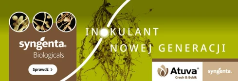 ATUVA GROCH I BOBIK® – inokulant nowej generacji już w ofercie Syngenty