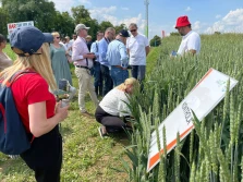 Bayer zaprezentował innowacje na polu w Chechle