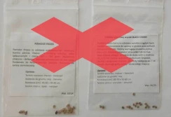 PIORiN przestrzega przed ,,nasionami kolekcjonerskimi''