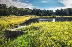 Będą pieniądze dla rolników na „małą retencję”